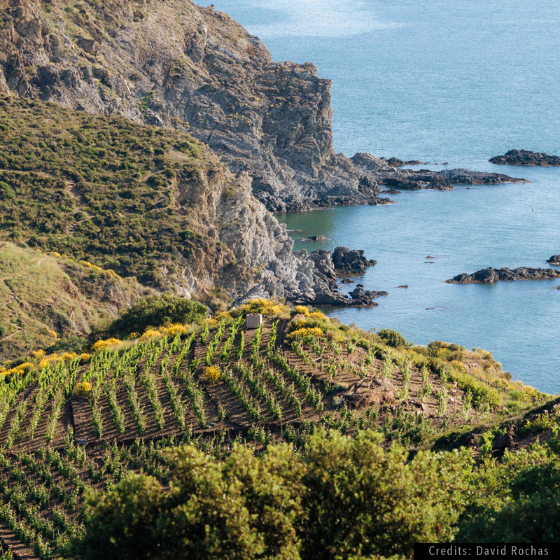 Banyuls-sur-Mer