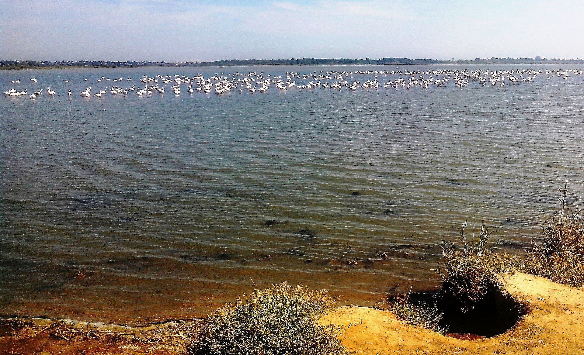 Saint-Nazaire